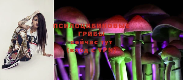 мет Белокуриха
