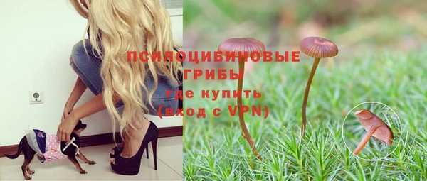 мет Белокуриха