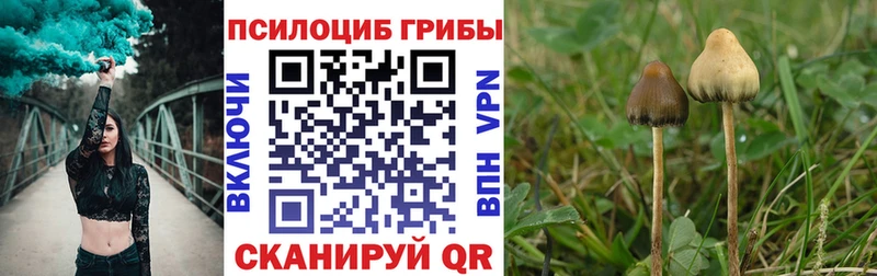 Галлюциногенные грибы мицелий  дарнет шоп  МЕГА ссылки  Кологрив 